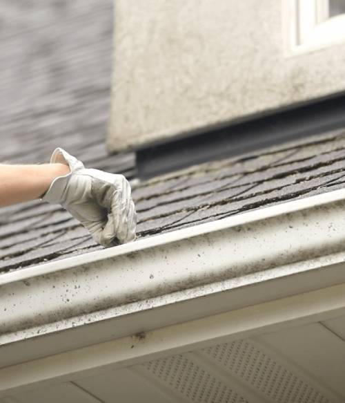 A closeup of gutter cleaning with gloves on