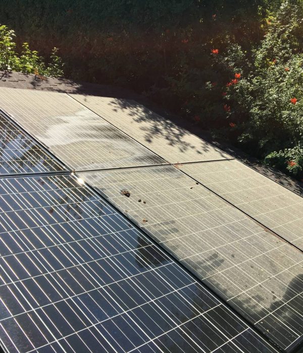 Image of solar panels; half are clean and the other half are still dirty