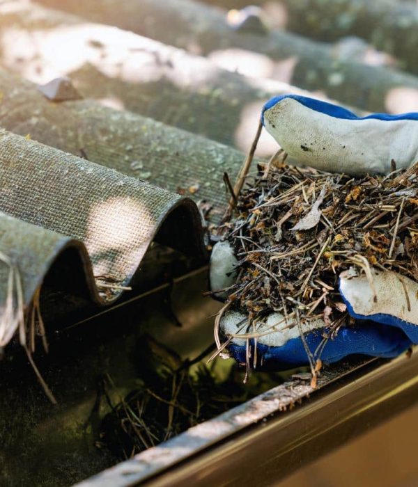 Professional gutter cleaning in Los Angeles, CA, for home protection Professional gutter cleaning in Los Angeles, CA, for home protection